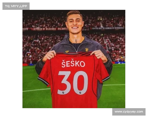 希勒称谢什科与哈兰德相似 深信他在英超能轻松适应并大放异彩